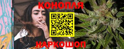 индика Обь