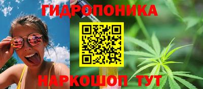 дмт Нягань
