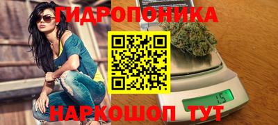 дмт Нягань