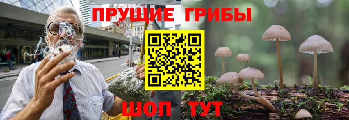 Псилоцибиновые грибы прущие грибы Александров